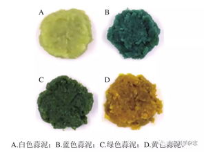 不同顏色蒜泥的風(fēng)味及揮發(fā)性物質(zhì)分析