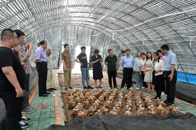 科技賦能邊疆農(nóng)業(yè) 中國(guó)科協(xié)農(nóng)技中心領(lǐng)導(dǎo)赴延邊州調(diào)研指導(dǎo)