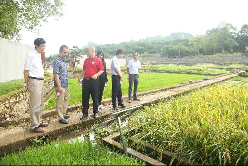 農(nóng)業(yè)農(nóng)村部科技發(fā)展中心調(diào)研祁陽(yáng)站 聚焦前沿，共促農(nóng)業(yè)技術(shù)創(chuàng)新發(fā)展